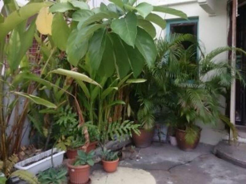 28 Bahari Hotel Georgetown Luaran gambar